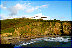 Cornwall Tourism Magazine - Doggy holidays in Cornwall - Polurrian Bay Hotel - Copyright - Ed Stone Web Design